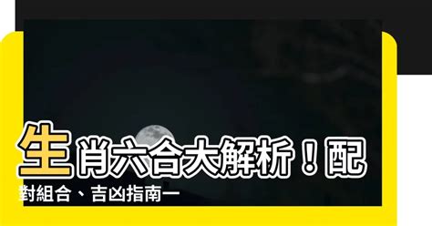 六合生肖圖|【生肖 六合】生肖六合大解析！配對組合、吉凶指南。